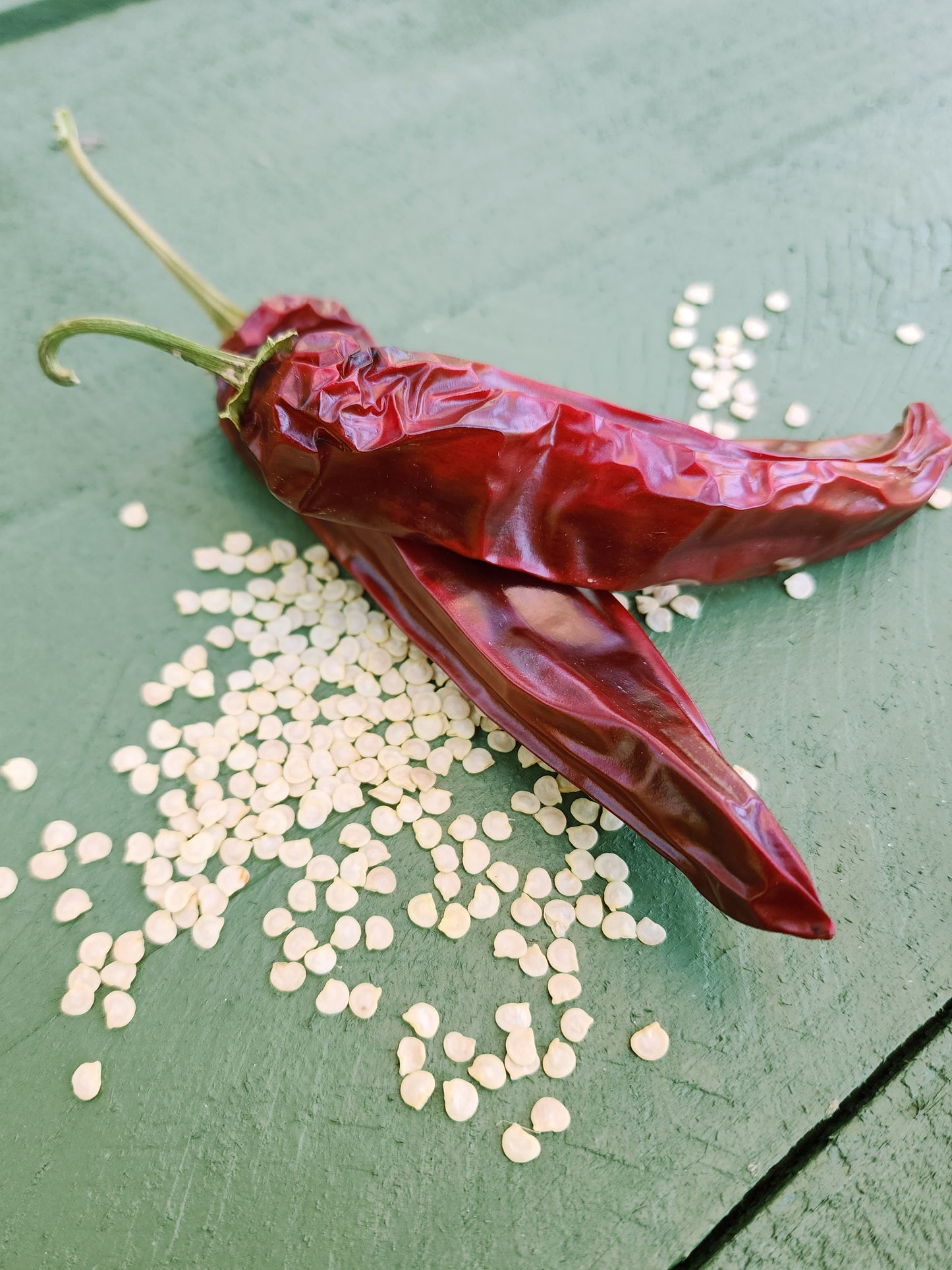 Guajillo Hot Pepper