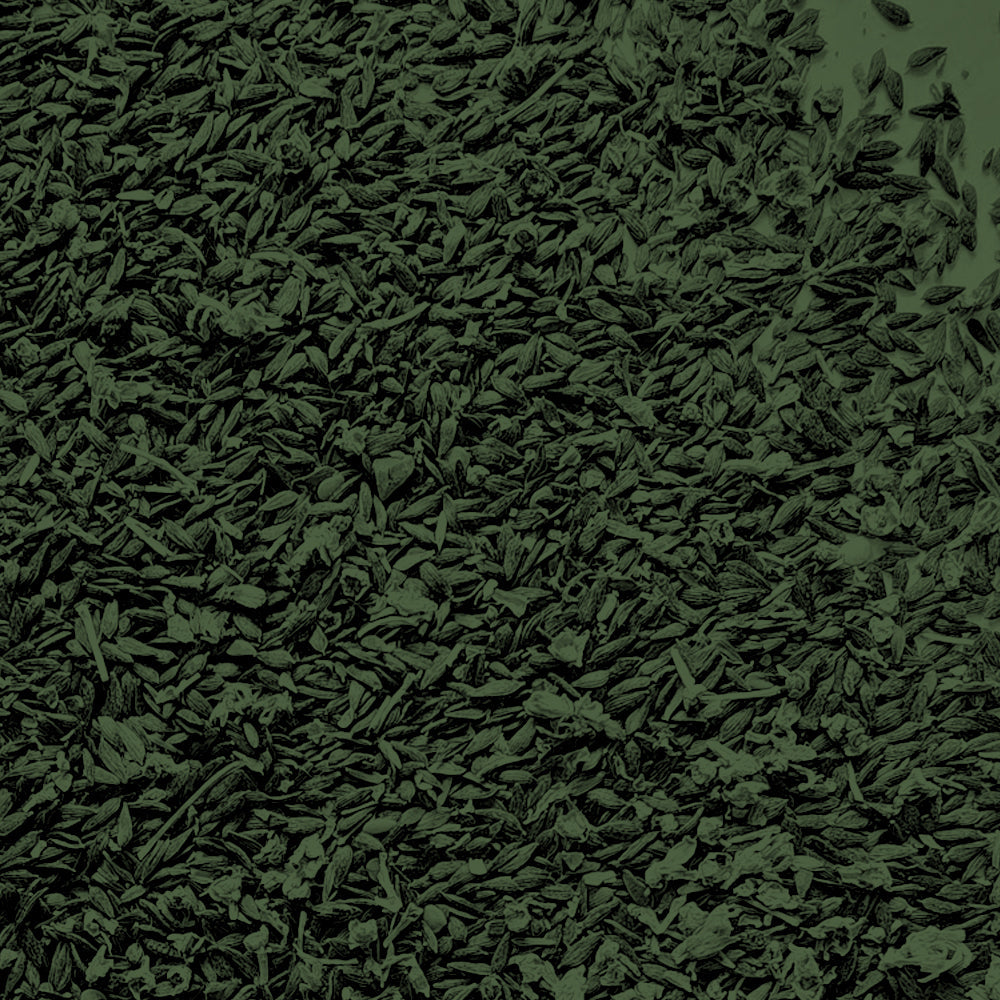 All Seeds