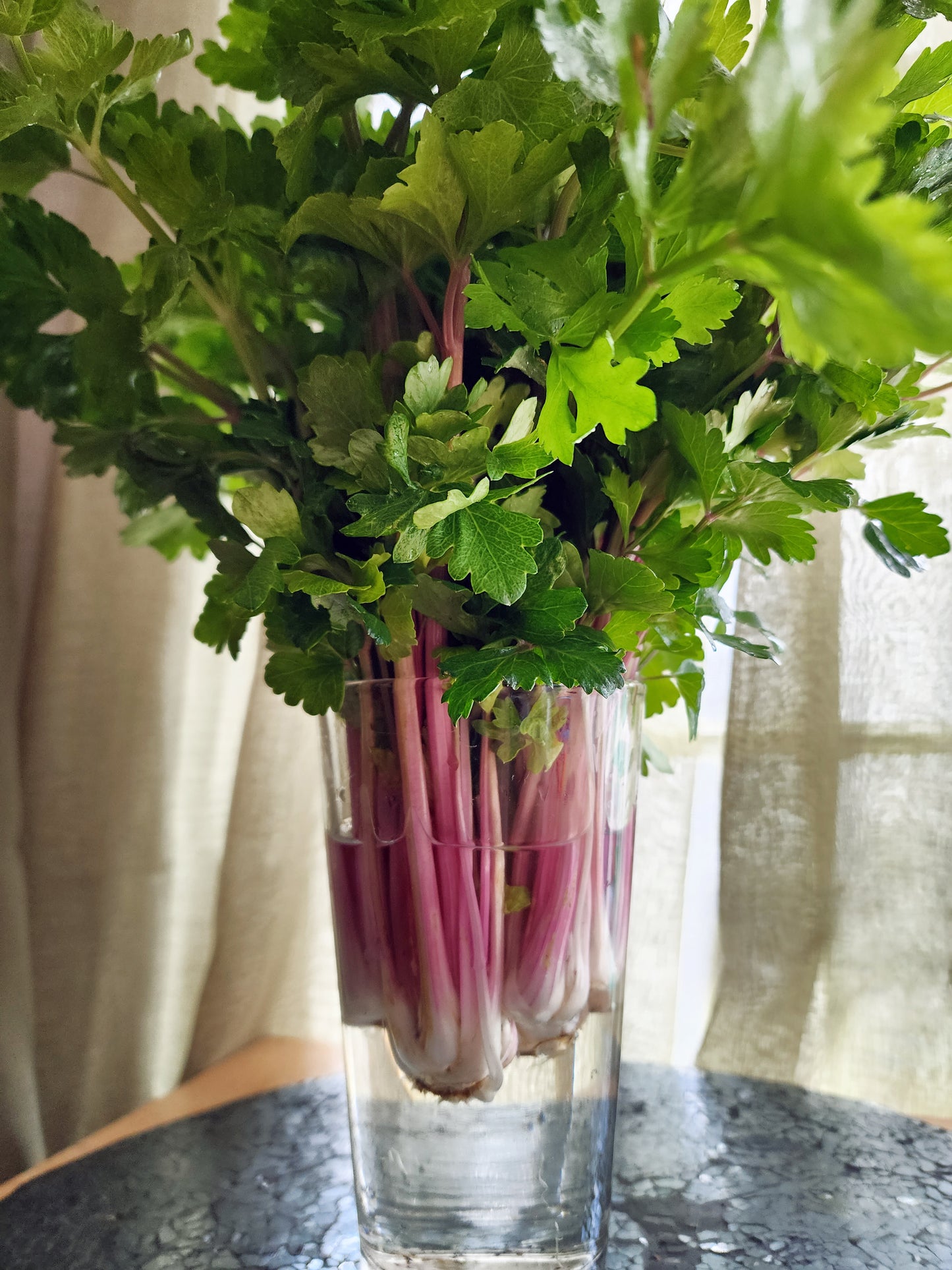 Chinese Pink Celery