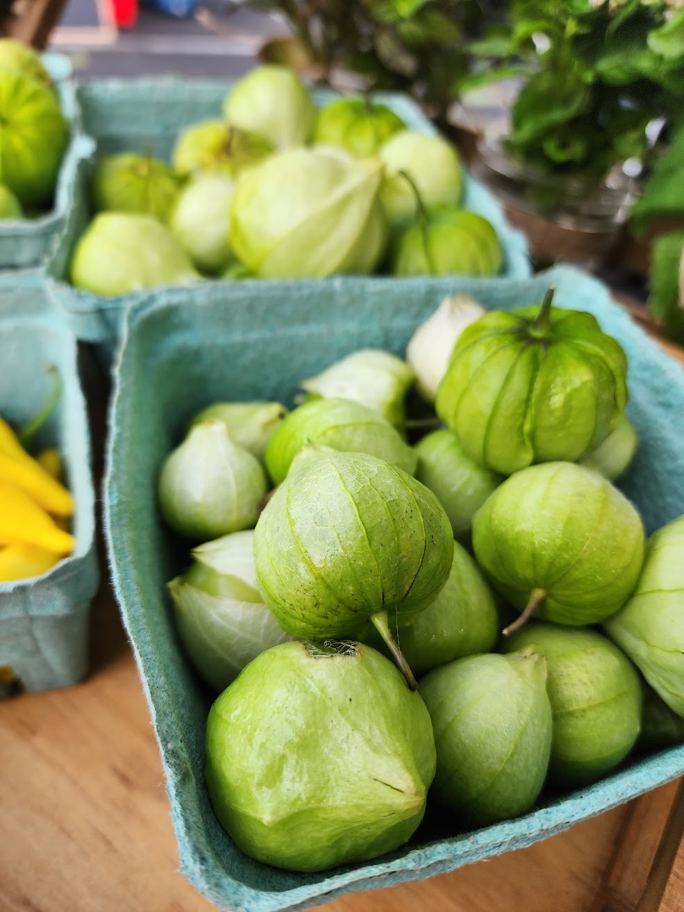 Green Tomatillo