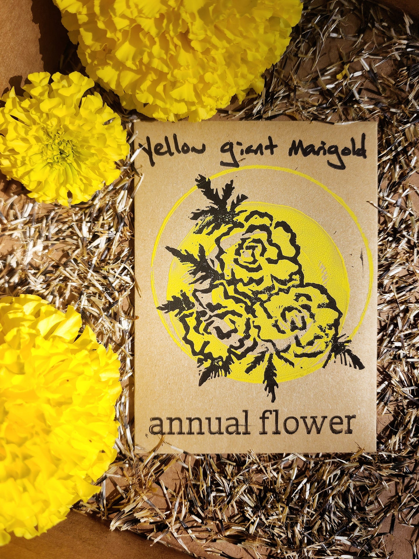 Yellow Giant Marigold seed packet art with seeds and marigold blooms