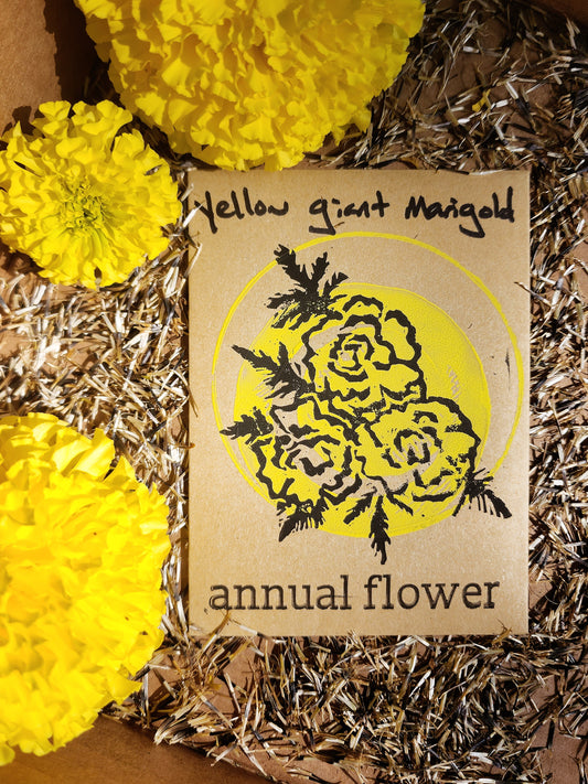Yellow Giant Marigold seed packet art with seeds and marigold blooms