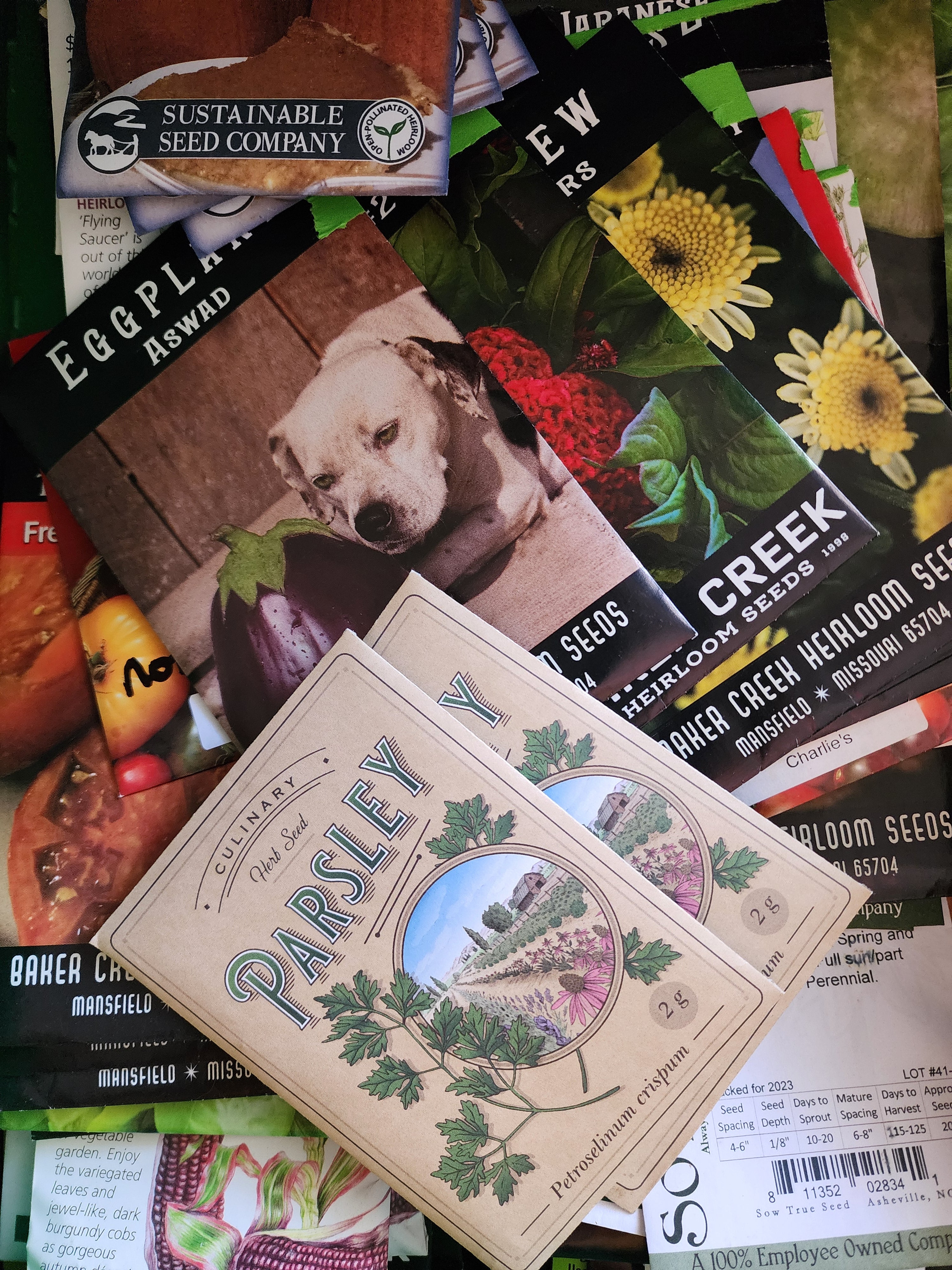 large selection of seed packets