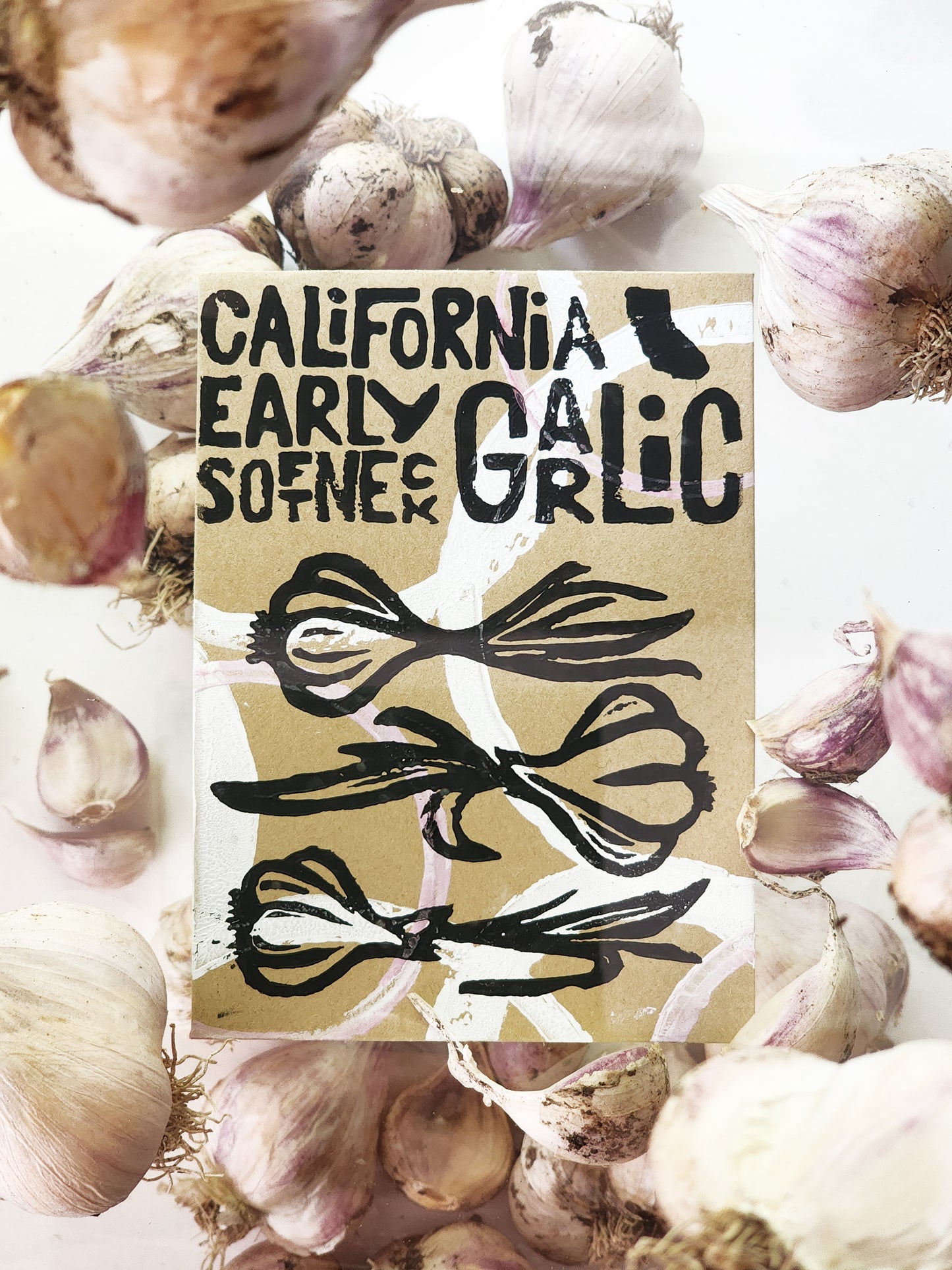 California Early Softneck Garlic