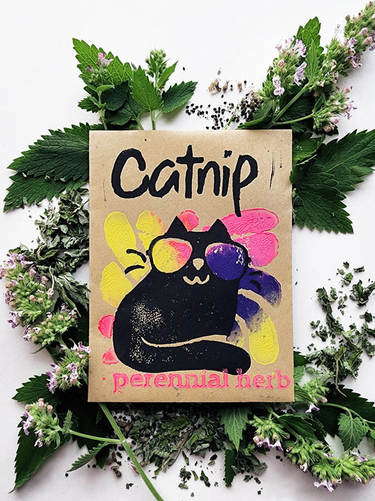 Catnip