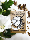 White Rose of Sharon
