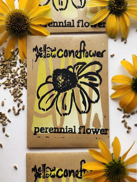 Mellow Yellow Coneflower (Echinacea)