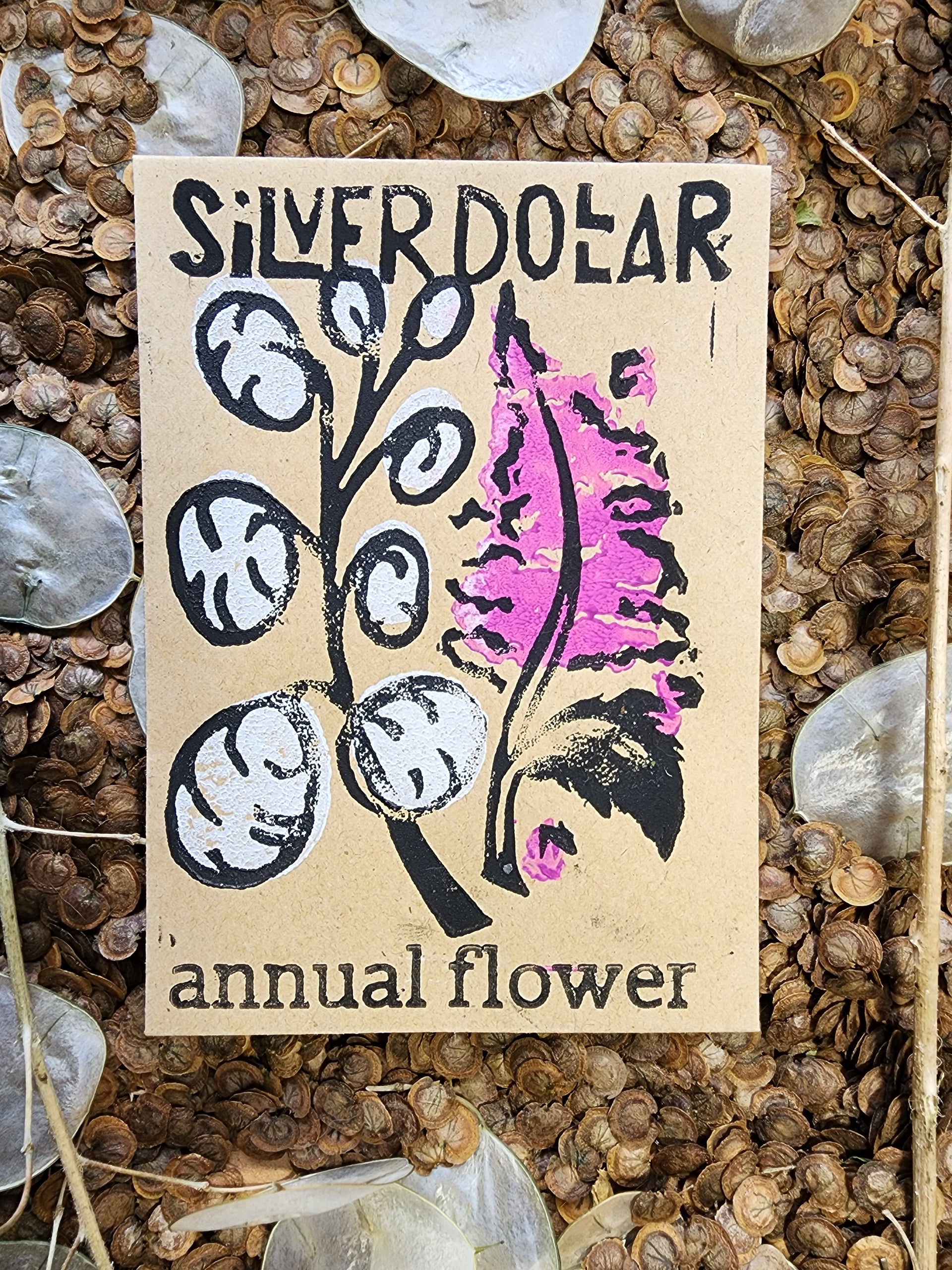 money plant silver Silver Dollar Money Plant – Tomorrow's Garden