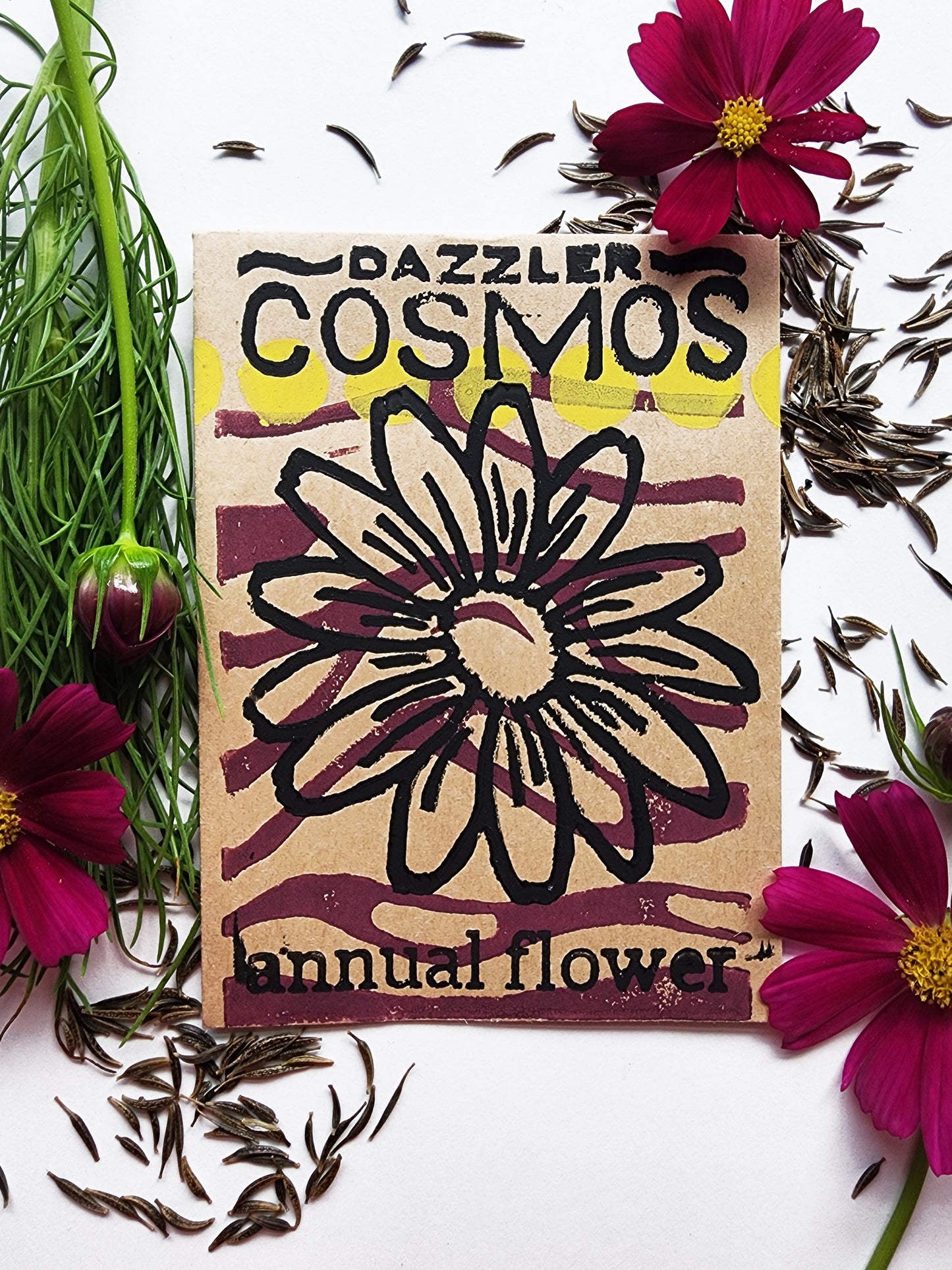 Dazzler Cosmos