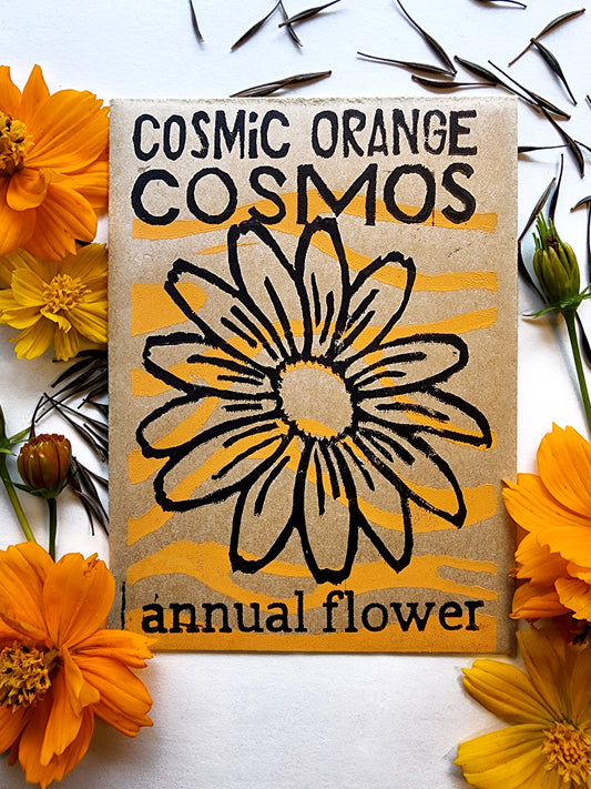 Cosmic Orange Cosmos