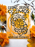 Cosmic Orange Cosmos