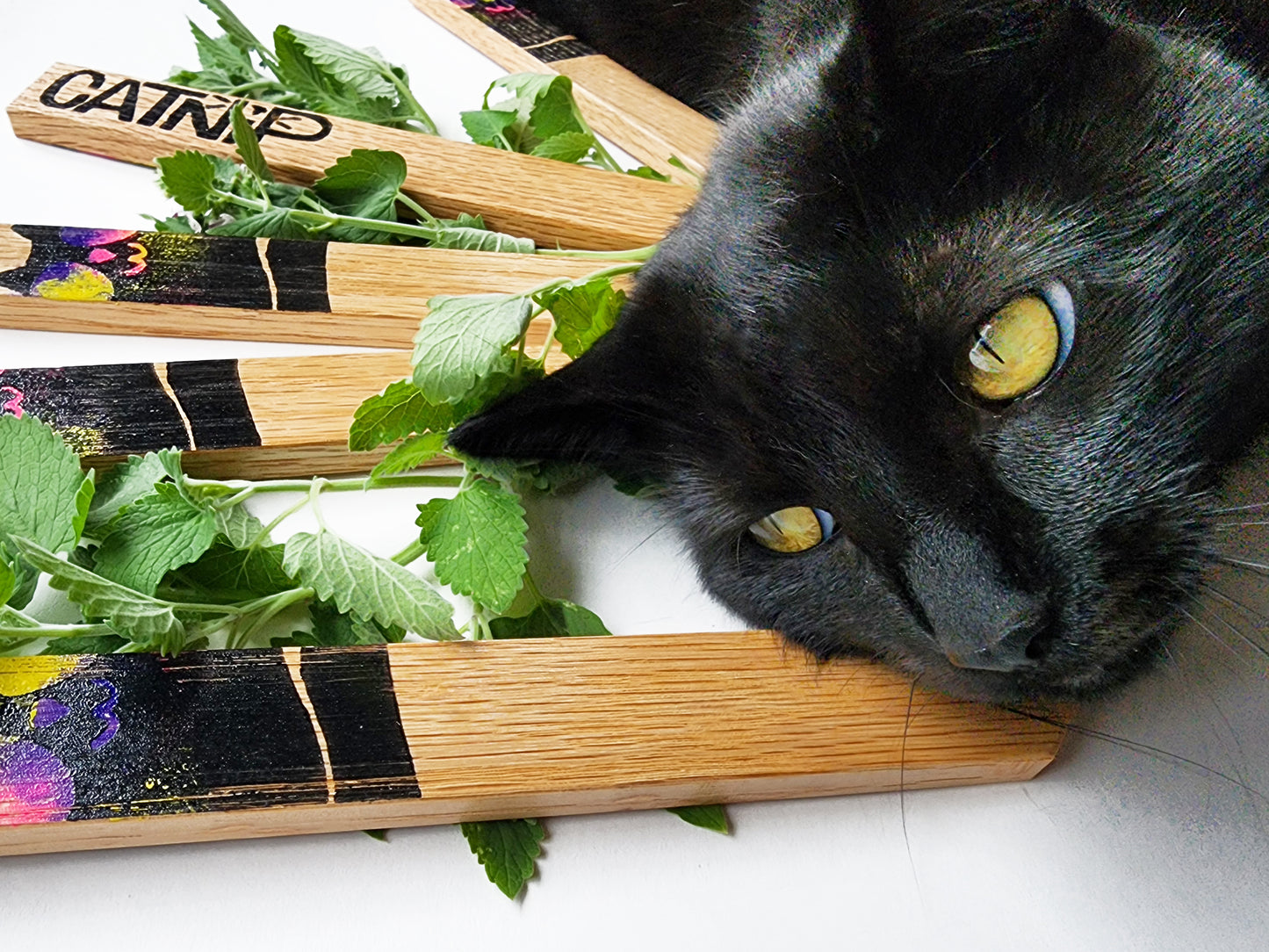 "Catnip" Plant Label