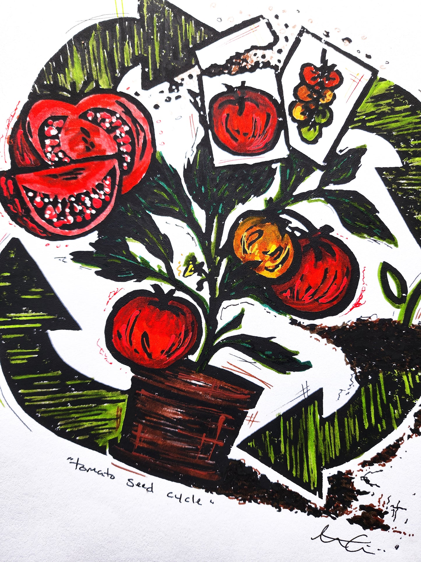 "Tomato Seed Cycle" Linocut Print