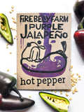 Purple Jalapeño Hot Pepper