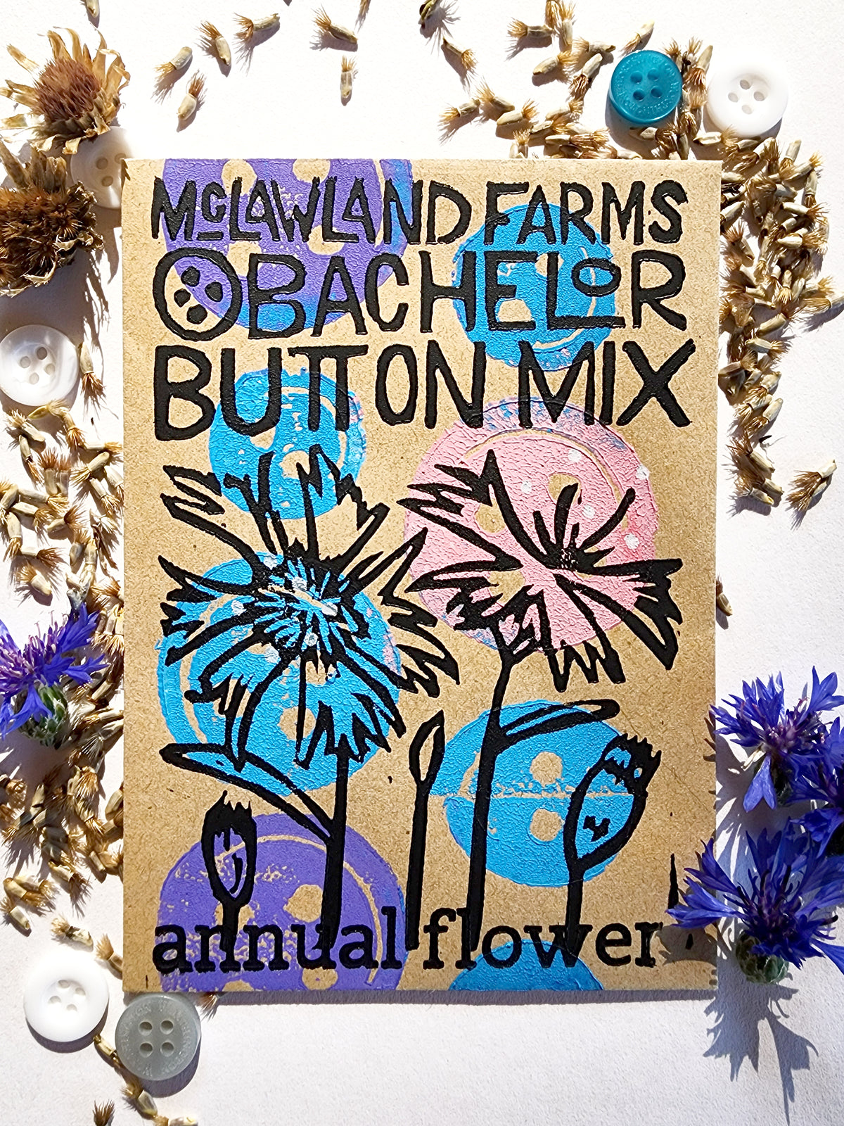 Bachelor Button Mix