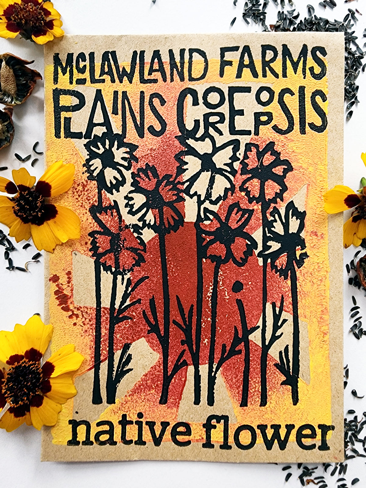 Plains Coreopsis