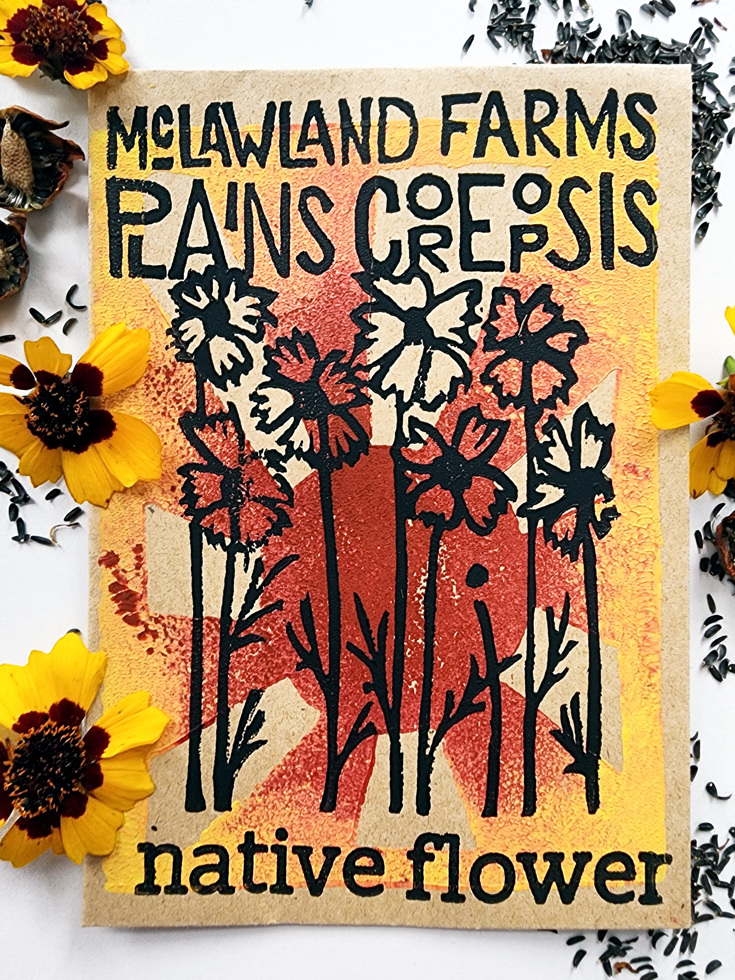 Plains Coreopsis