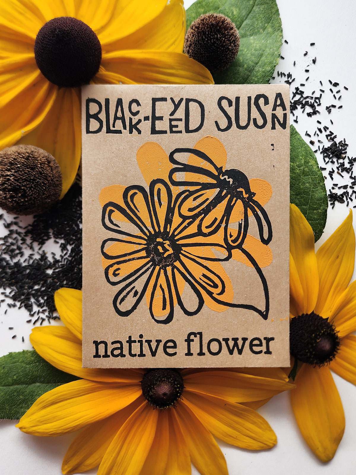 Black-Eyed Susan
