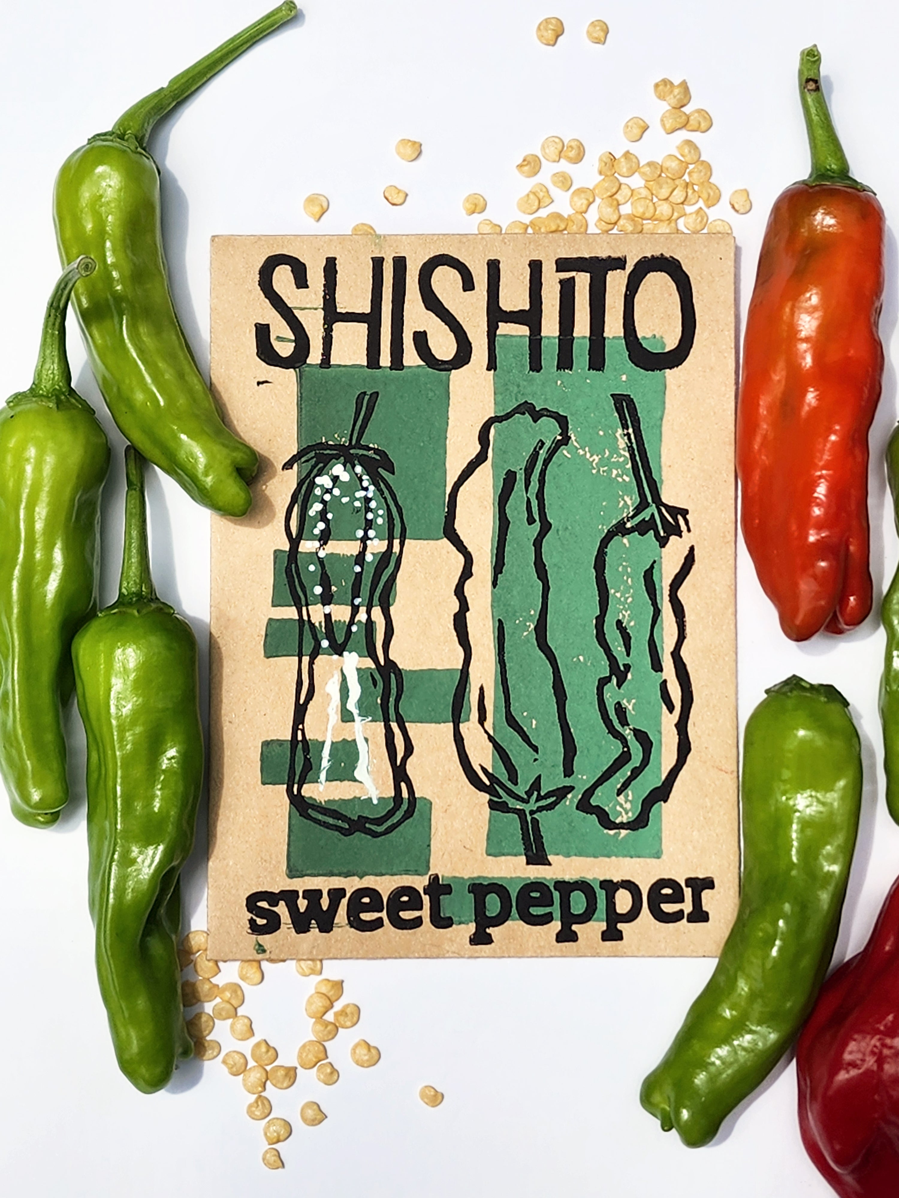 Shishito Sweet (?) Pepper