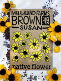 Brown-Eyed Susan