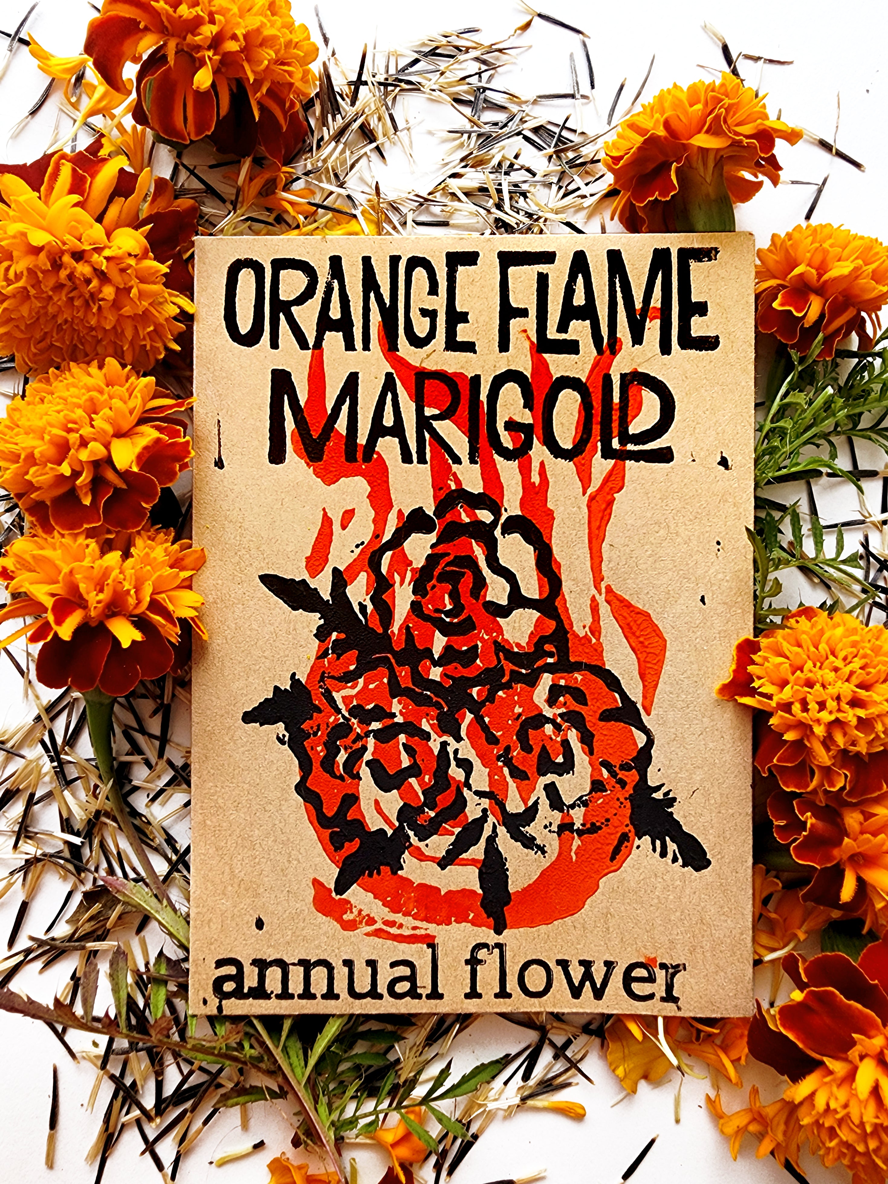 Orange Flame Marigold