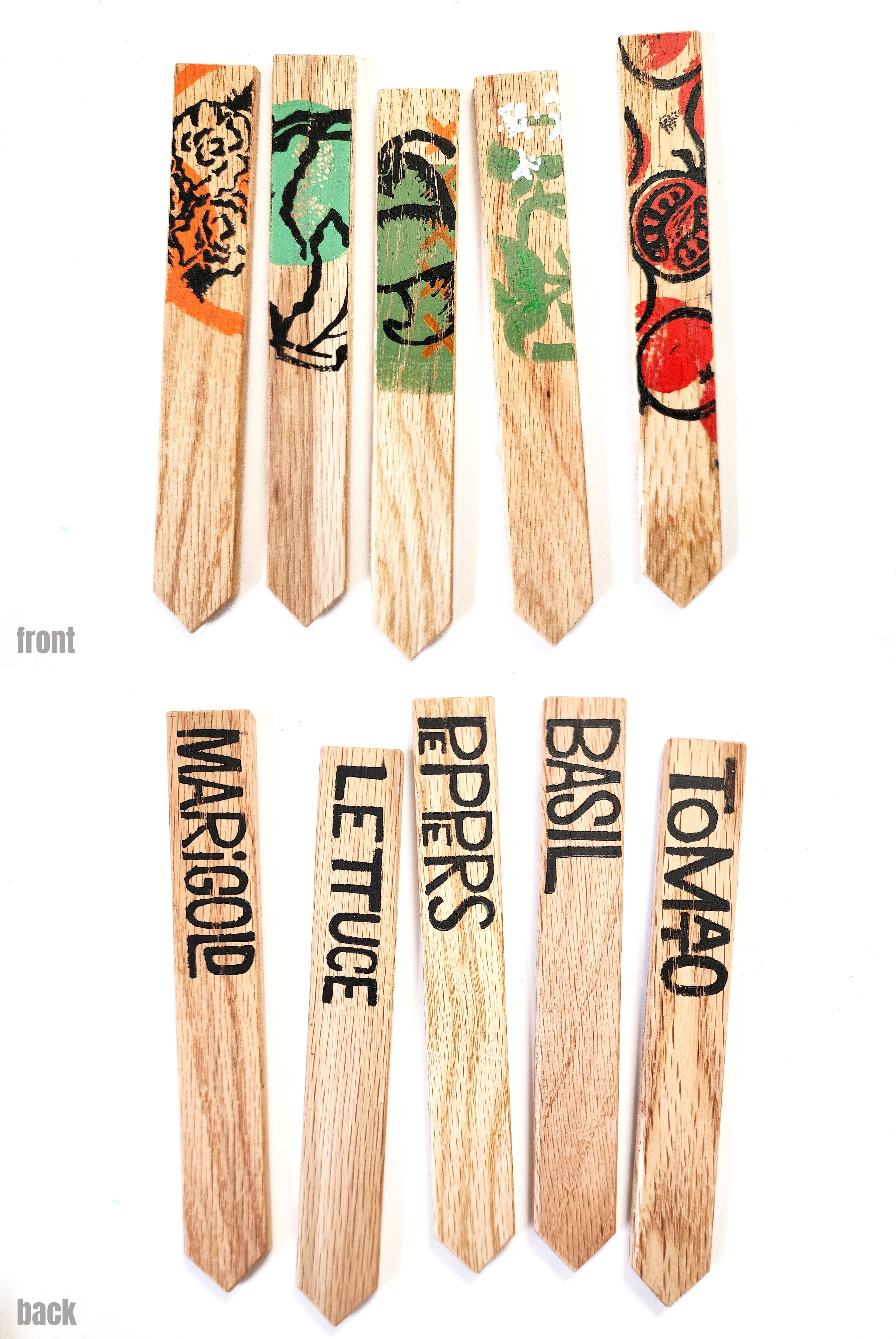 Kitchen Basics Seed Starting Kit