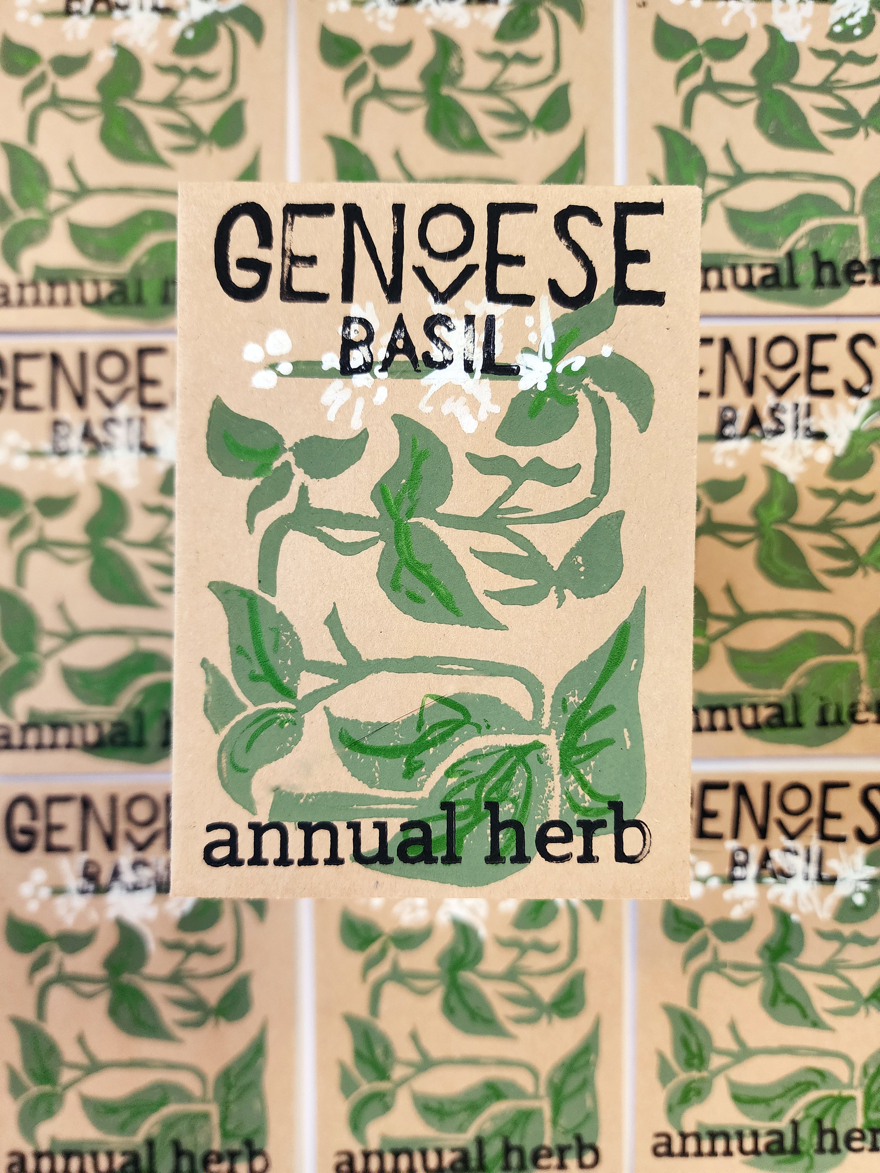 Genovese Basil