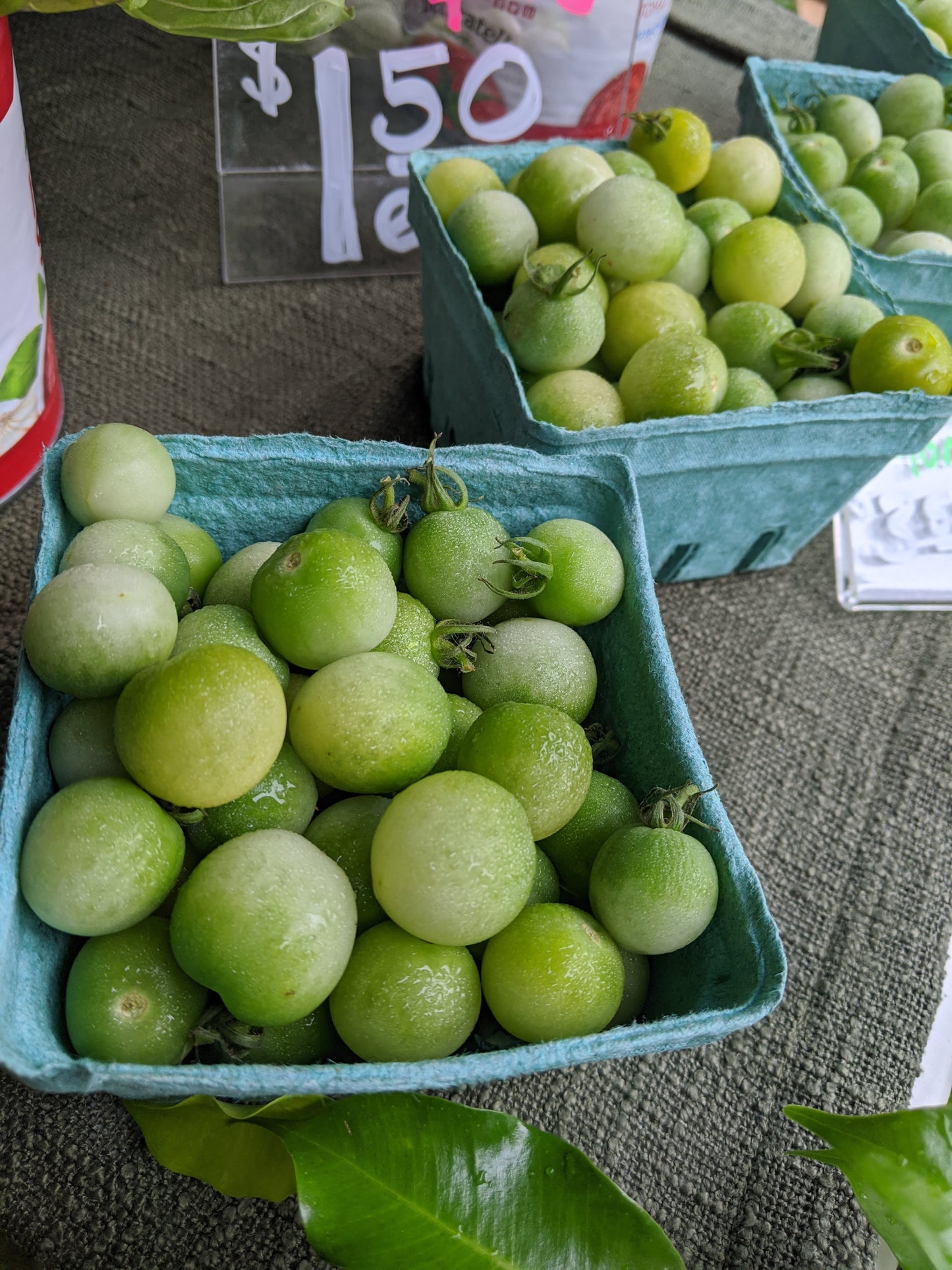 Green Doctor Cherry Tomato