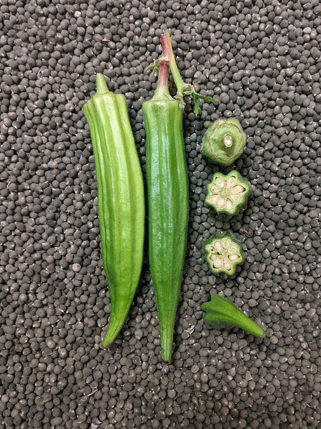 Clemson Spineless Okra