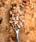 Pinto Shell Bush Bean
