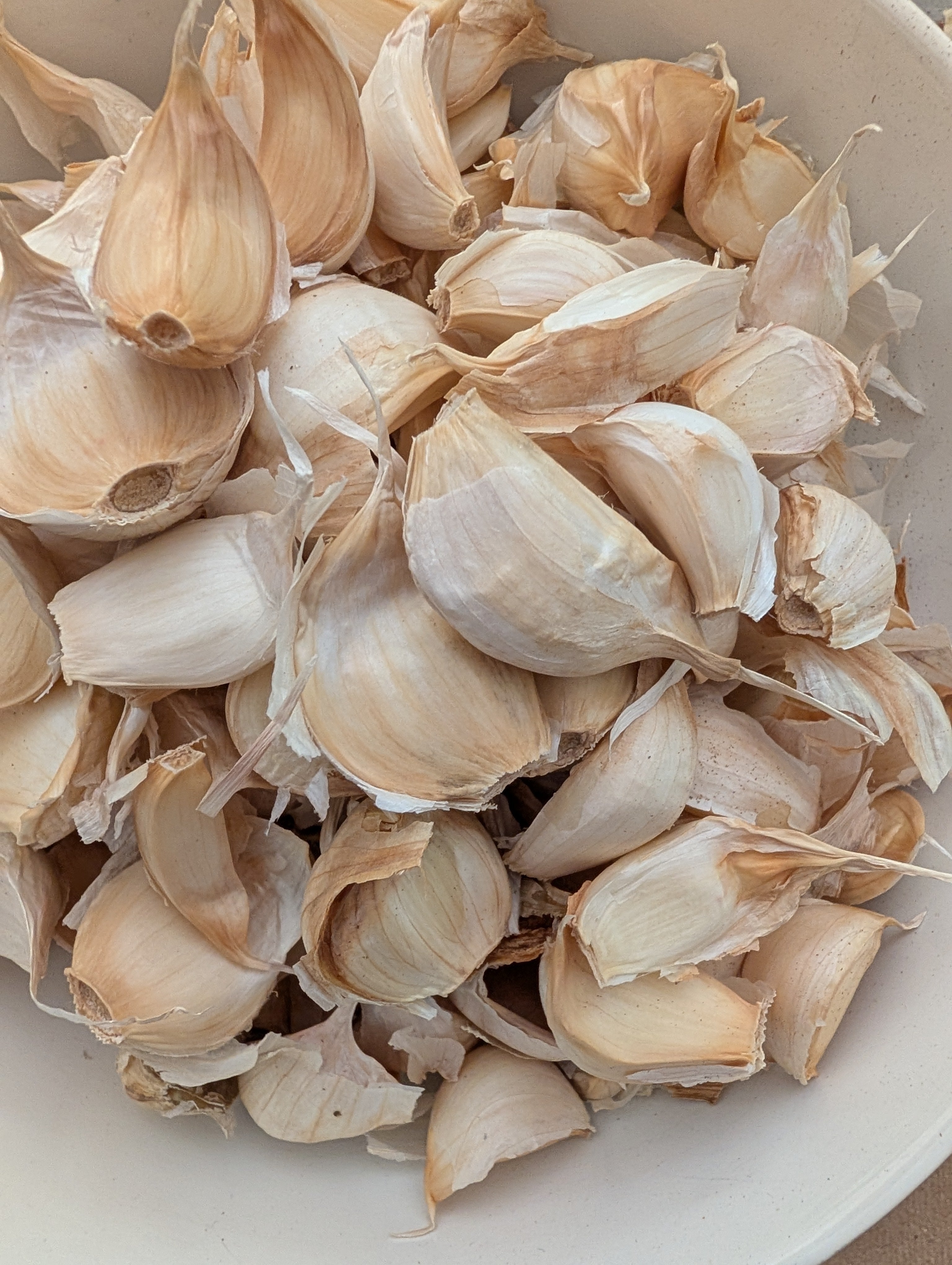 Inchelium Red Softneck Garlic