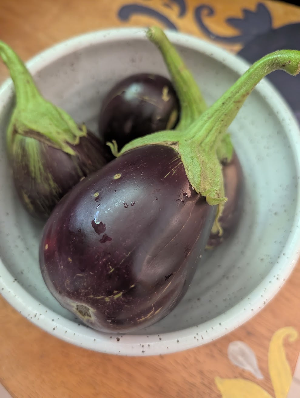 Black Beauty Eggplant