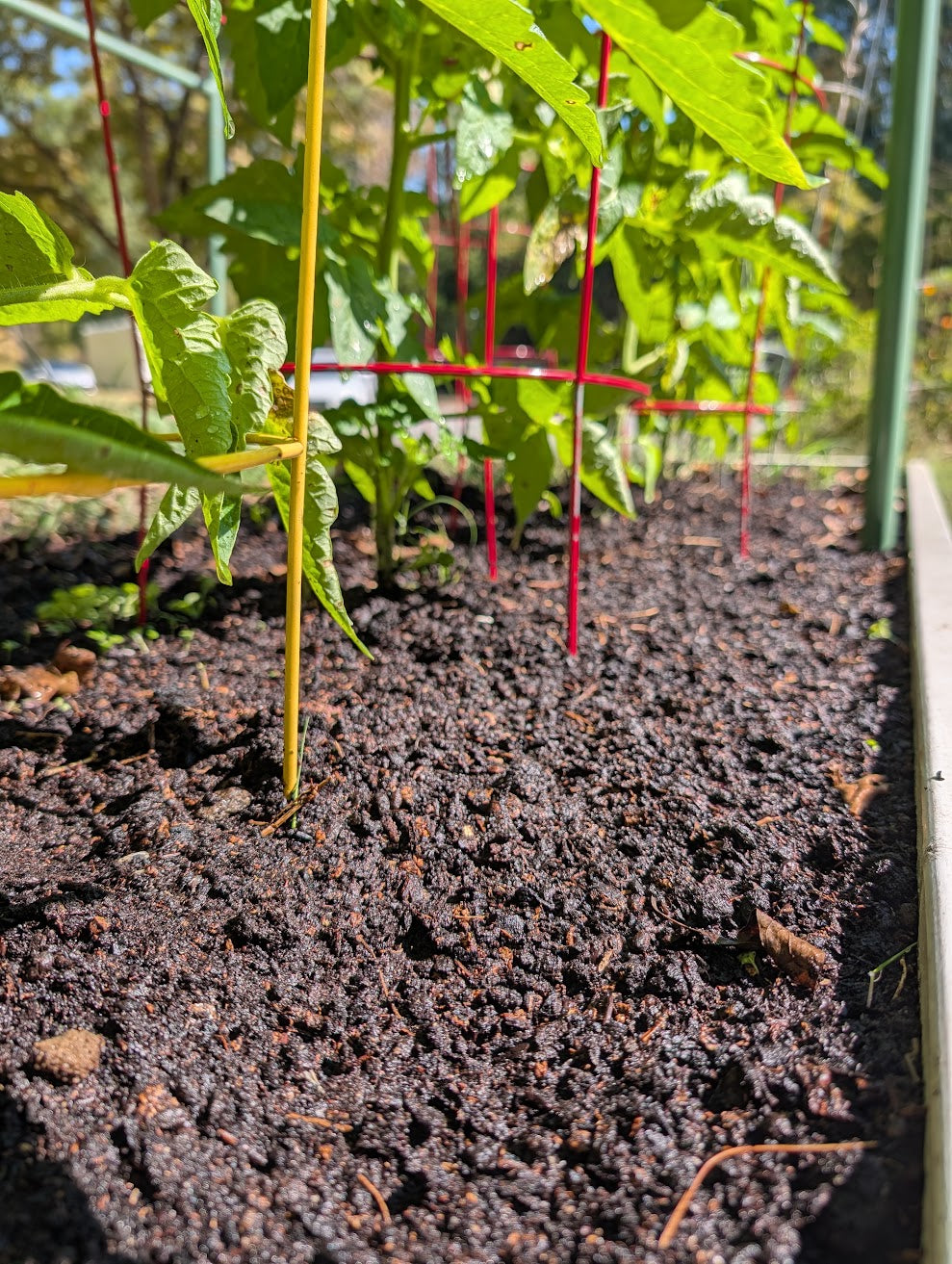Stout Ollies Compost