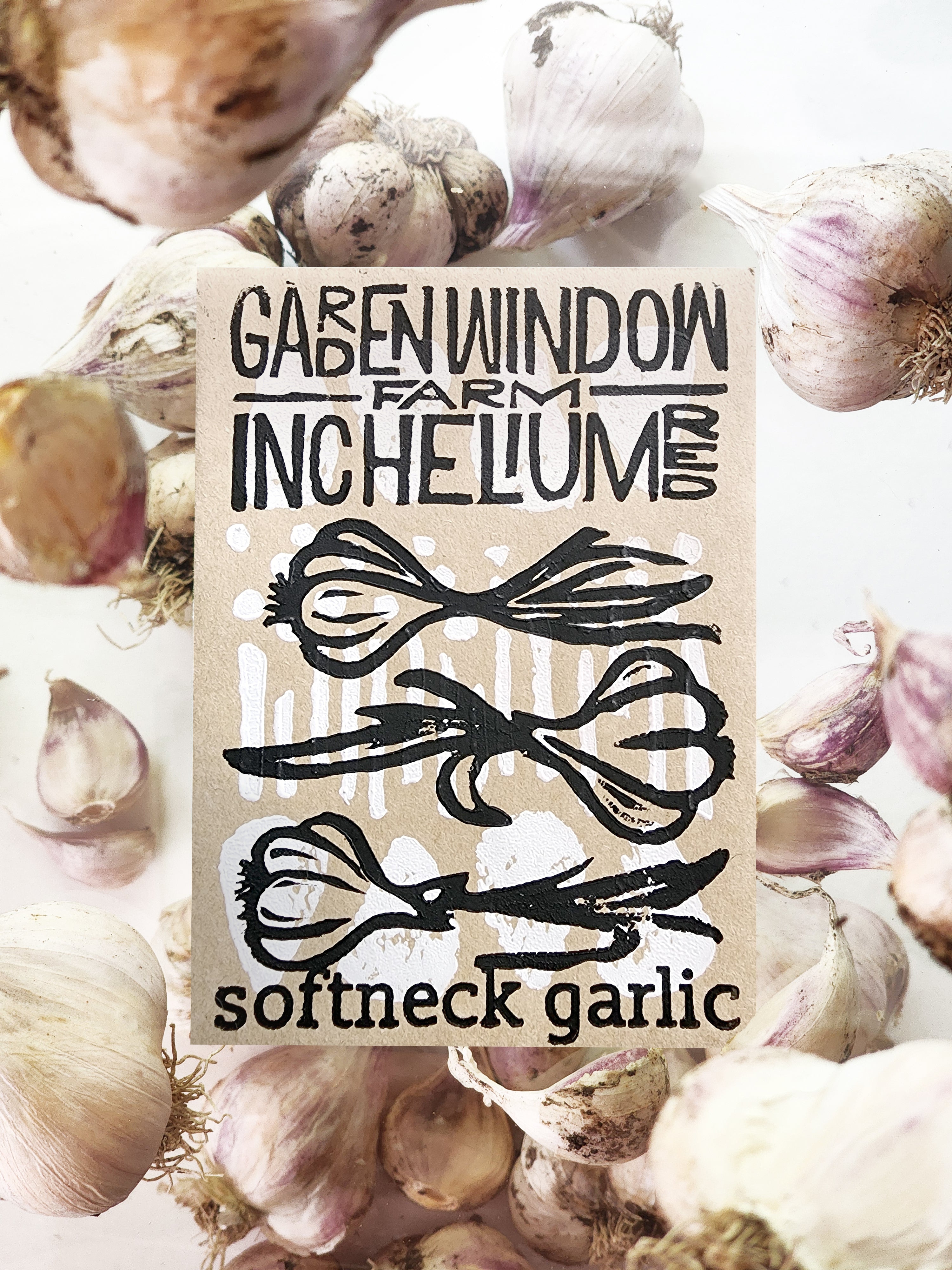 Inchelium Red Softneck Garlic